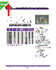 PCSFW630-R33M Datasheet HTML 1Page - Allied Components International 