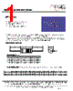 MF1304T-R22 Datasheet HTML 1Page - ECM Electronics Limited. 